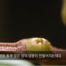 자연이야기 이미지