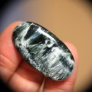 샤로브냐 이미지