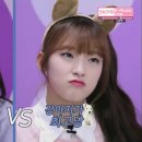 고양이에개