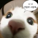 관악로16길 이미지