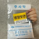 화남1차 | [임신준비] 서울역 차병원 1차 자연임신 시도 후기(feat. 배란유도제, 고난도필, 오베드릴)