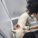 개포동월드 이미지