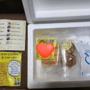 멈머다냥 이미지