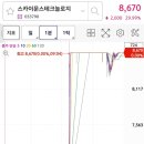 포항코세스 이미지