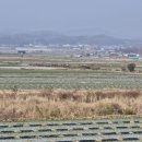 적응하리 이미지