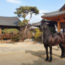 마당식당 이미지