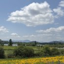 초동연가길 화장실1 | 밀양 초동연가길 걷기. 몰랐던 산책 명소, 매년 찾고 싶은 힐링 코스.