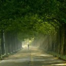 햇살좋은아침 이미지