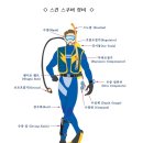 잠실실내수영장 이미지