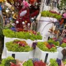 안양중앙지하도상가 이미지