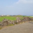 노고로기 | 제주도 2박 3일 가족여행 일정 둘째날