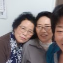 성북동언니 이미지