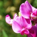 놀이터PC 이미지