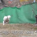 부장목장 이미지