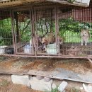 예산건강원 - 예산군 예산로 239 | 예산건강원
