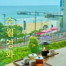 한국루이보스 - 안양시 동안구 호계동 | 해운대 해변열차 오션뷰 카페 수월경화 비 오는 날 평일 방문 후기