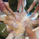 공감마켓 이미지