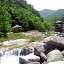 삼겹살에 소주한잔 이미지