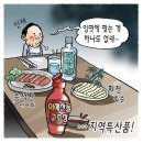 김경수의'시사터치'(제247호)/각시탈·복귀탈·진보탈 이미지