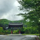 은해사 거조암 삼층석탑 | 황금연휴와 함께한 팔공산 거조사 거조암 여행 투어 (2025-05-03)