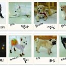 개편한카페 이미지