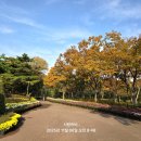 대구수목원 이미지