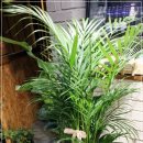 이레카써비스 이미지