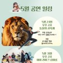 클래식아이 이미지