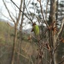 녹전초교 이미지