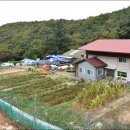 콩각시농원
