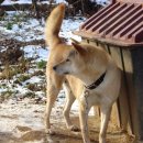 서산황진이 Daum카페