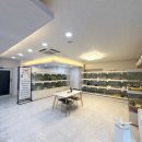 노이펫 강아지 고양이분양 춘천점 이미지