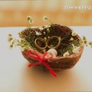 강나루현대공인중개사사무소 이미지