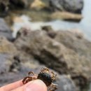 모항레저타운 이미지