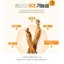 농협홍삼한삼인청주금천점