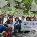 서준농산