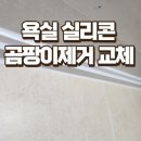용신15 | 수원 욕실 실리콘 곰팡이제거 교체작업후기