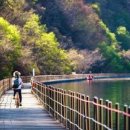 “내가 호수 한가운데 서 있네?” 1.5km 물길 밟고 원시림까지, 주말 힐링 치트키 이미지