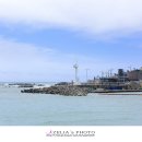 주전어촌체험마을 이미지