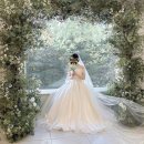 블랑 | [결혼 PROJECT] #5 베일드블랑 후기 (계약, 피팅, 본식)