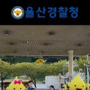 송피싱