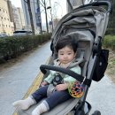 커피콩 | 롯데백화점대구점 문화센터 / 멜로디팜 커피콩 후기 / 2026년 봄학기 / 롯백 대구점 문센