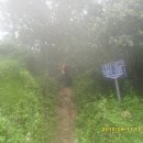 자양면-도일리-15 | 낙동정맥 12.709.1봉→배실재→침곡산→서당골재→태화산 →한티재→블랫재