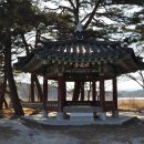 향호1리 이미지