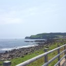 사계바다