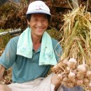 의성농산 이미지