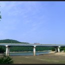 신선대 입구 임도 이미지