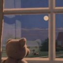 (혼)알마트 | 제주 혼여행🍊