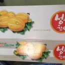 늘픔정원 | 품격높은 성주 석가네 금빛참외 (w.노란스머프님)