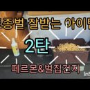 토종벌10통 꿀만 100kg 채밀 이미지